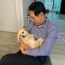 여주기계세탁 | 여주 돼지감자차 효능 직접 만들어봄 (아빠 당뇨영양제 고민)