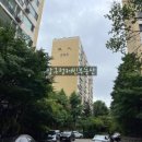 압구정-204 이미지