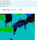 카덴트칼라매치