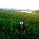 보리, 愛 이미지