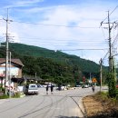 홍화원(주)