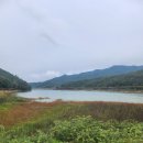 대신 행정사사무소 | 구미행정심판 불편한 행정을 편리하게 바꿔주는 열린행정사 사무소 후기