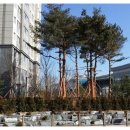어진동공정거래위원회 | 세종시 아파트 전세 센트럴시티