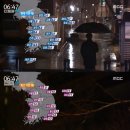 비봄