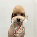 희동이의 하루 이미지