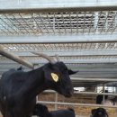 매화골농장 이미지