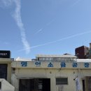 제주 유동커피 소금공장점, 소금빵 덕후라면 꼭 가봐야 할 제주 핫플 내돈내산 후기