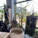 도예 물레 | 전주 도자기 공방 클레이라운드 도자기수업 원데이클래스 체험후기