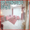 코쿠닝78 이미지