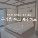 하도뷰펜션 | 제주 구좌읍 숙소 제주하도 후기｜자쿠지·애견동반 돌집 독채에서 완벽했던 하루