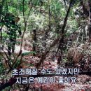 밤베르크 독일 [1/11] 유적의 중세 도시 (밤베르크) - 개요 / 올드 타운 홀 / 알터 함부르크