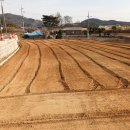 인양양초장 이미지