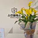 스킨 블레스 이미지