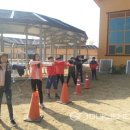 풍각초등학교 이미지