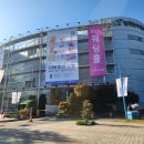 피어나라 | 2025 피어나라 전시후기 ㅣ 신풍종꽃 디스플레이 총정리