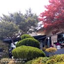 대부도 여행길에서 추천 &#34; 연하연&#34; 보쌈정식셋트(돌솥밥) 이미지