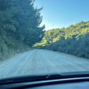 호텔플릇(로즈모텔) | 북섬 렌터카 여행] 로토루아 무료 자연 온천 케록신 크릭(Kerosene Creek), 로토루아 저렴이 숙소 후기