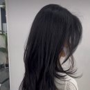 살롱드선