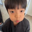 무궁화태권도 이미지