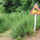 대암산 등산로 입구 이미지