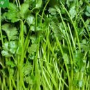 일호농장 이미지