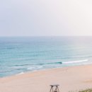 대구대학교 이미지