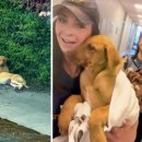 나를품개 이미지