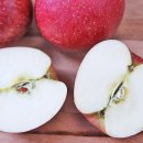 이미자농장 이미지