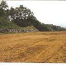 시흥-정왕-시흥-032 이미지