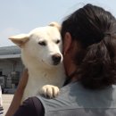 김동우농장 이미지