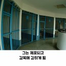 나라를 위해 탈옥한 군인 이미지