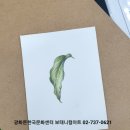 기초 보태니컬아트 이미지