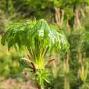 진상순농장 이미지