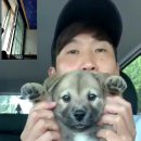 동수농장 이미지