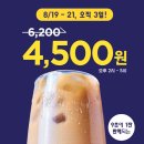 딜라이트 이미지