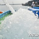 수산업협동조합제빙냉동공장 이미지