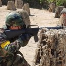 강촌강변 | 2026 강촌 놀거리/ATV, 카트, 서바이벌 한방에 정리