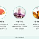 리영글로벌 이미지