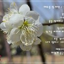 꽃필때 이미지