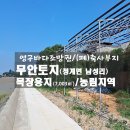 태양과바다 야영장 이미지