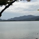 덕평뜰한우목장 | 2025.11.8 하동별맛축제 사진 후기 / 브로콜리너마저 / 참숭어회시식/ 해뜰목장 / 칸리우엣 /악양주조