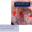 여의도내과의원 이미지