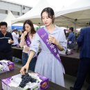 흥부골 아영포도 이미지