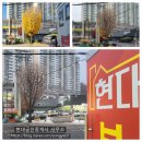 벚꽃공인중개사사무소 이미지