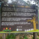 칠곡 왜관철교 이미지