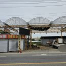 대원관광농원 이미지