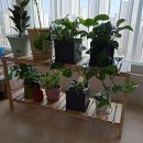 개별용달 | 전주용달 전주용달 이정선 개별용달 이용해본 후기