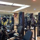 뽀빠이헬스클럽 이미지