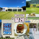 예산 카페 논밭뷰가 있는 덕산 &#39;말레&#39; 사진찍기 좋았던 충남 가볼만한곳🍎