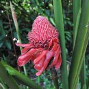 서정농장 이미지